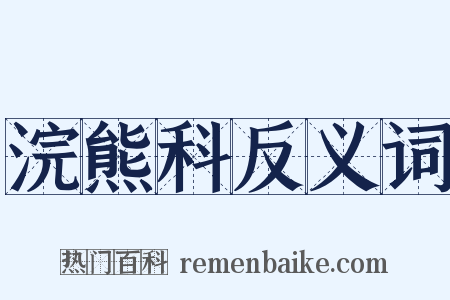 浣熊科反义词是什么意思的图片